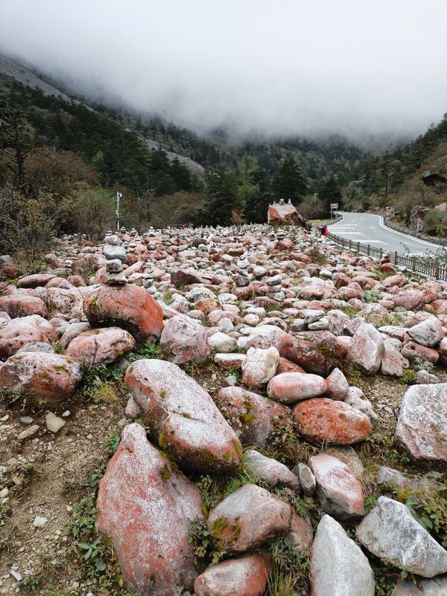 3天暢遊四姑娘山-新都橋 超實用攻略別錯過