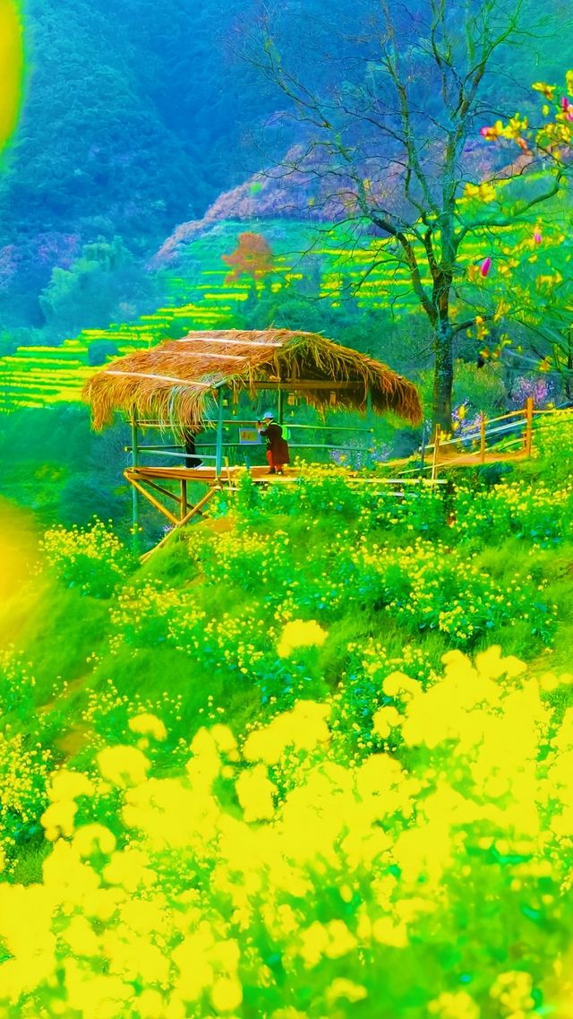 《婺源梯田點去？超齊全攻略來襲！》