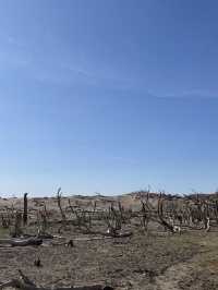 8天暢遊中衛等地 超詳細攻略帶你玩轉大西北