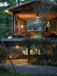 成都入住森林小屋