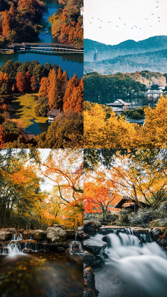 西湖：人間天堂，詩意棲居