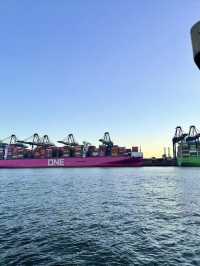 金色沙灘，歷史與海的交匯——金色海岸與深圳博物館