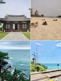 韓國東海市旅遊攻略！