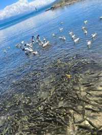 6日暢遊海北等地 玩轉美景不踩坑