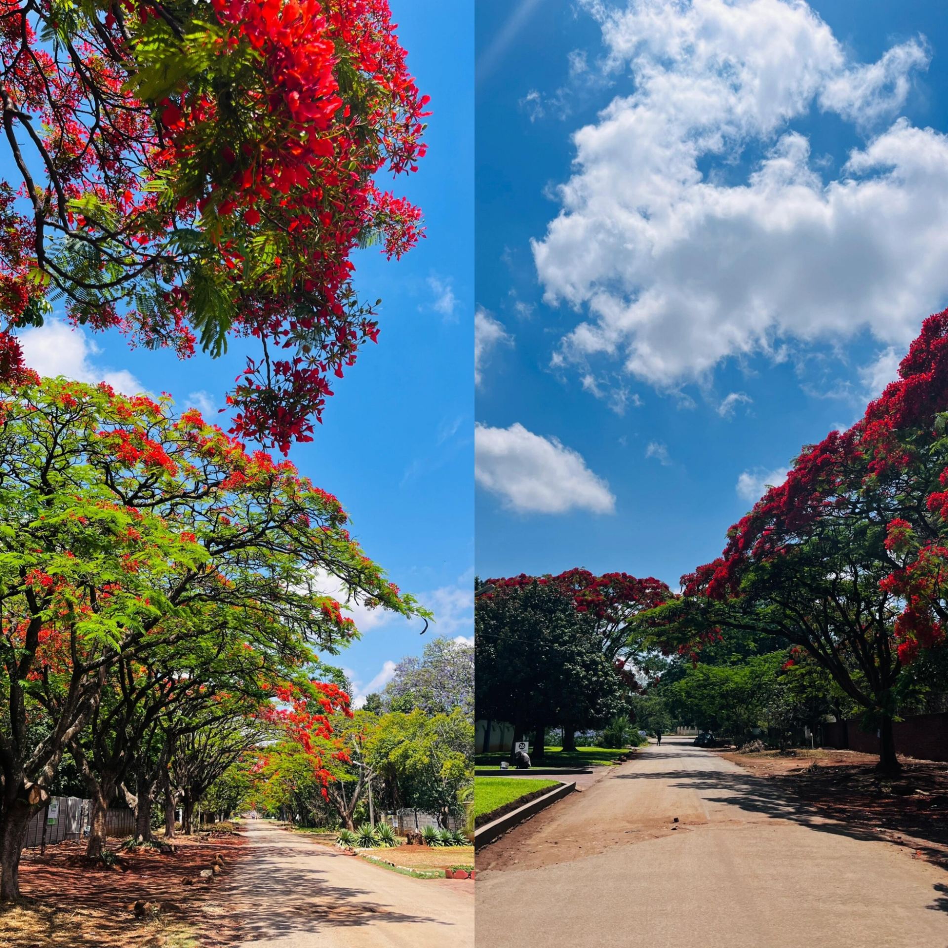 Harare, Zimbabwe Travel Guide