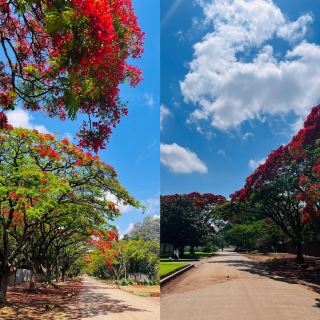 Harare, Zimbabwe Travel Guide