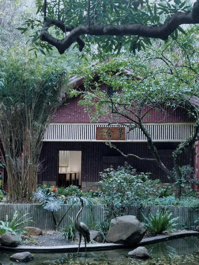 幽蘭深處，時光的呢喃——廣州蘭圃之行