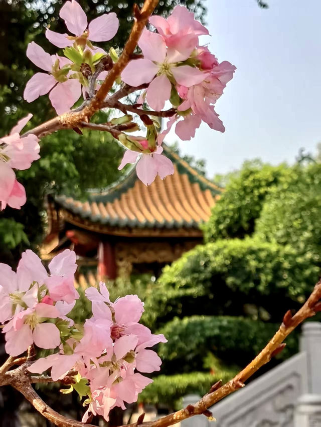 寶墨園，超級精美的嶺南園林✨