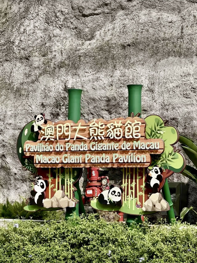 熊貓微笑，林間溫情—漫遊石排灣郊野公園