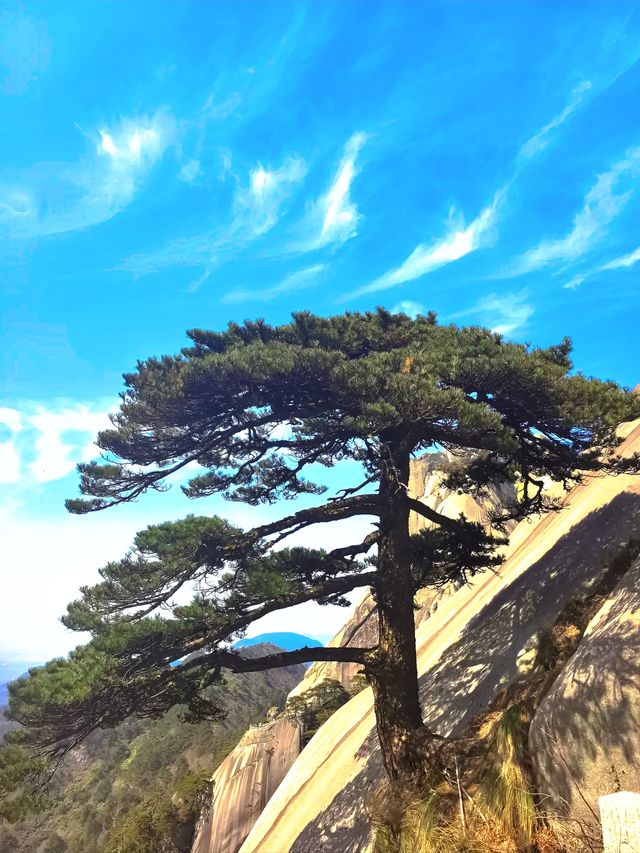 天柱山旅行全攻略：邂逅現實版神話奇境