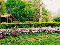 Nansha Wet Land: Pearl River Delta Relaxation Oasis