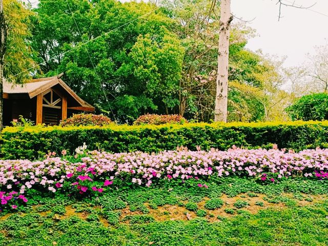 Nansha Wet Land: Pearl River Delta Relaxation Oasis
