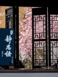 Experience the Enchanting Spring in Suzhou