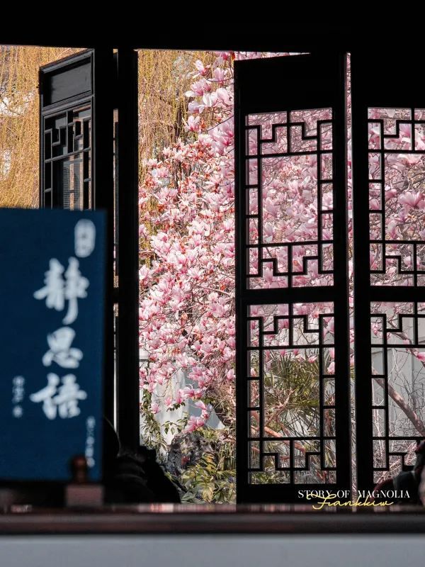 Experience the Enchanting Spring in Suzhou