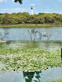 深圳打工仔必睇！55站之松山湖超正一日遊