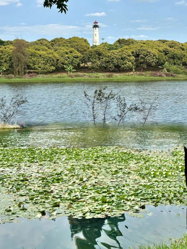 深圳打工仔必睇！55站之松山湖超正一日遊