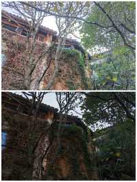 贛東北探秋丨婺源篁嶺景區c
