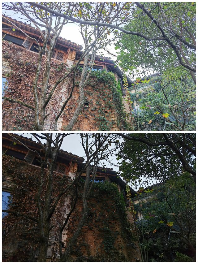 贛東北探秋丨婺源篁嶺景區c