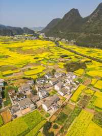 興義萬峰林油菜花不可錯過春日花海