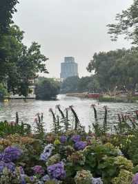 Liwan lake park blossoms 