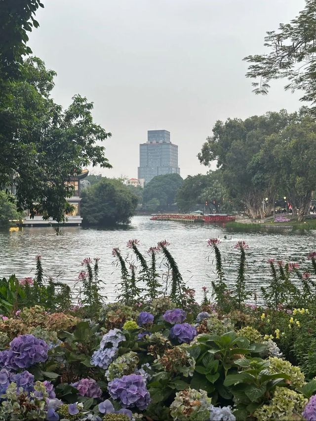 Liwan lake park blossoms 