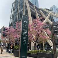 🌸東京麻布台｜邂逅城市中的詩意角落