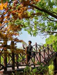 以為臨平公園夠美了！直到去了湖州杜鵑花海
