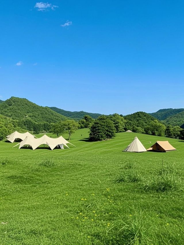 剛從碧波島逃回來！這3個坑讓全家累成狗