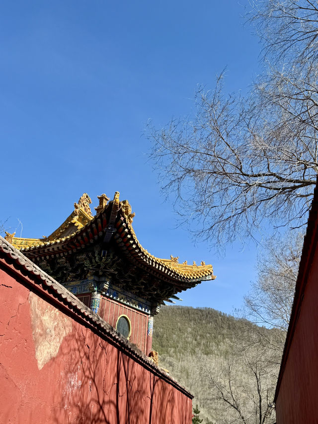 五一走跳｜菩薩頂·有求必應的「五爺廟」