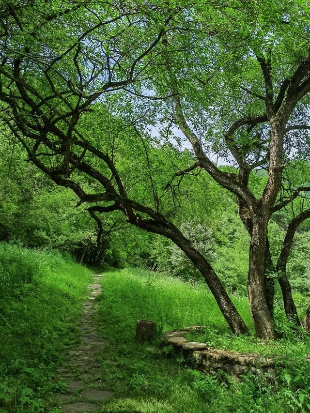 寧夏涇源縣旅遊攻略：探秘六盤山下的詩意秘境