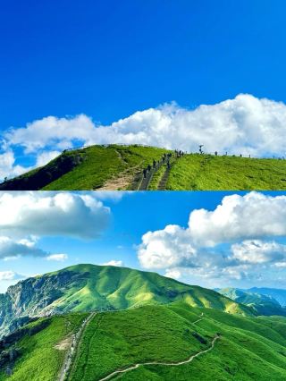 話走就走嘅旅行