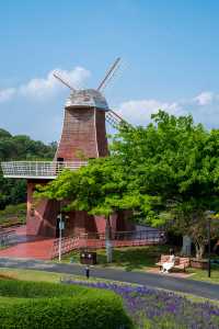 東莞如果只去一個地方，那一定是植物園！