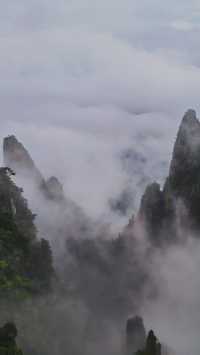 雨中漫步莽山：霧靄深處的奇幻仙蹤