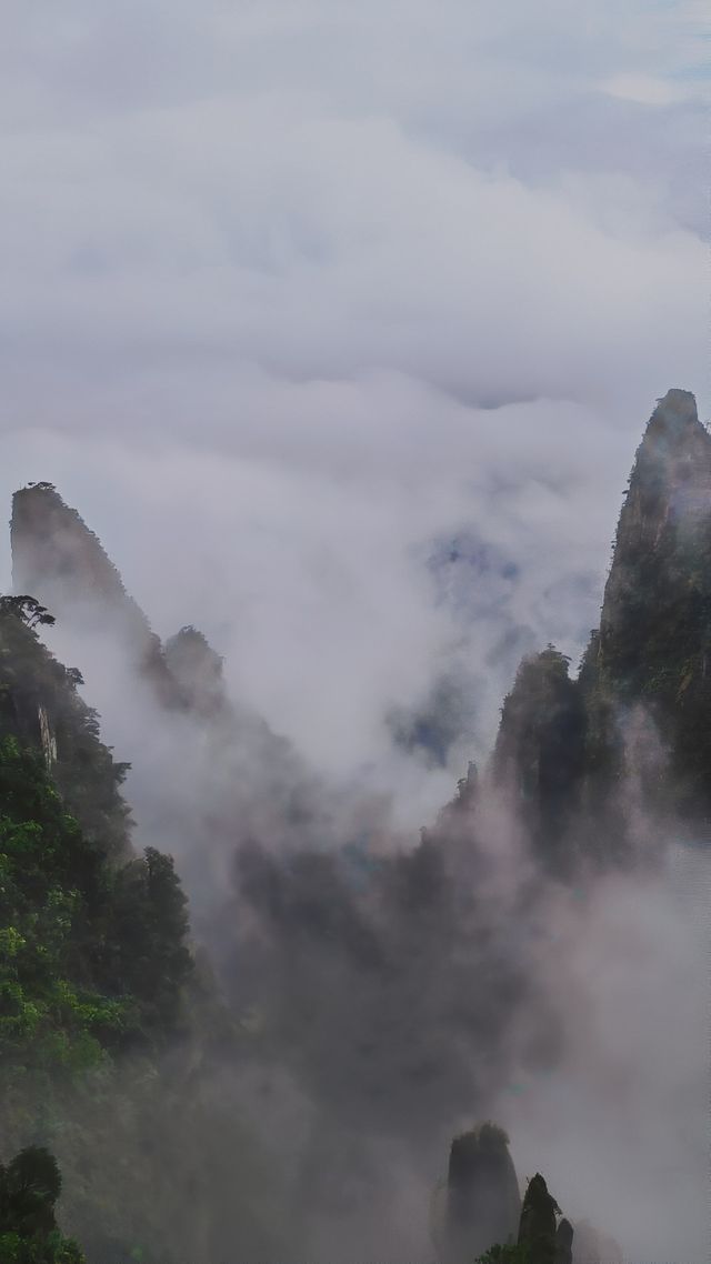 雨中漫步莽山：霧靄深處的奇幻仙蹤