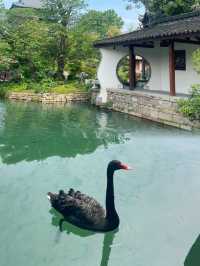穿漢服嘅網紅同埋磨剪刀嘅匠人，邊個先至係真古鎮居民