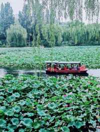 呢度唔止有神樹！北京治癒系帶娃公園！詳見攻略！