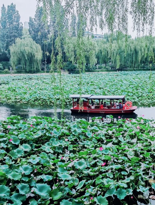 呢度唔止有神樹！北京治癒系帶娃公園！詳見攻略！