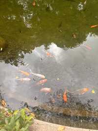 Hong Kong Park, A Stunning Garden Surrounded By Colossal Hong Kong  