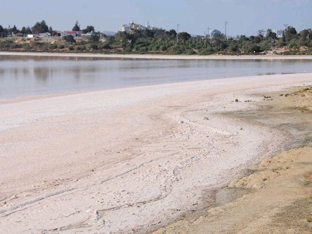 塞浦路斯拉納卡鹽湖