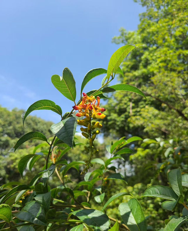 高魯山一日遊