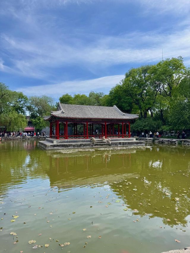 夏日恭王府：在時光褶皺中尋幽