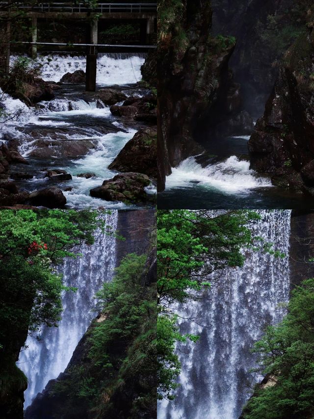 老撾人私藏嘅「天然泳池」？西關瀑布竟然可以跳入瀑布游水！