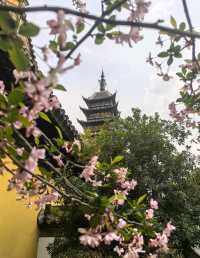 蘇州人偷偷去嘅後花園！常熟2日秋色封神