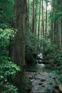 《玉溪2日漫遊｜湖山藏詩意，煙火見人間》