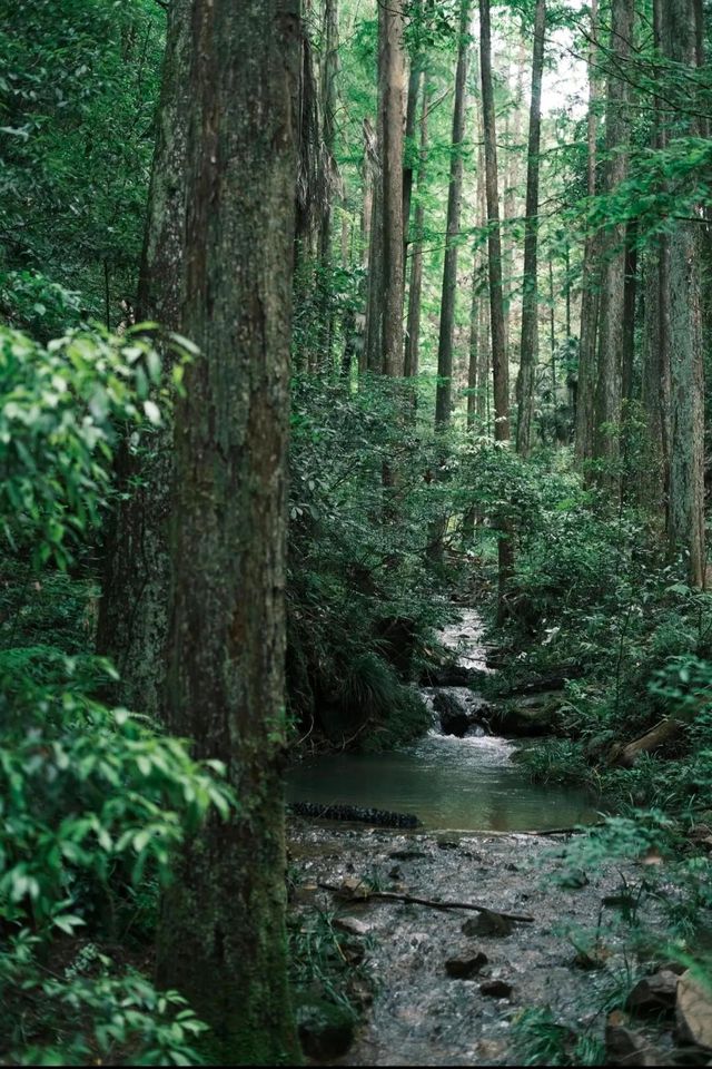 《玉溪2日漫遊｜湖山藏詩意，煙火見人間》