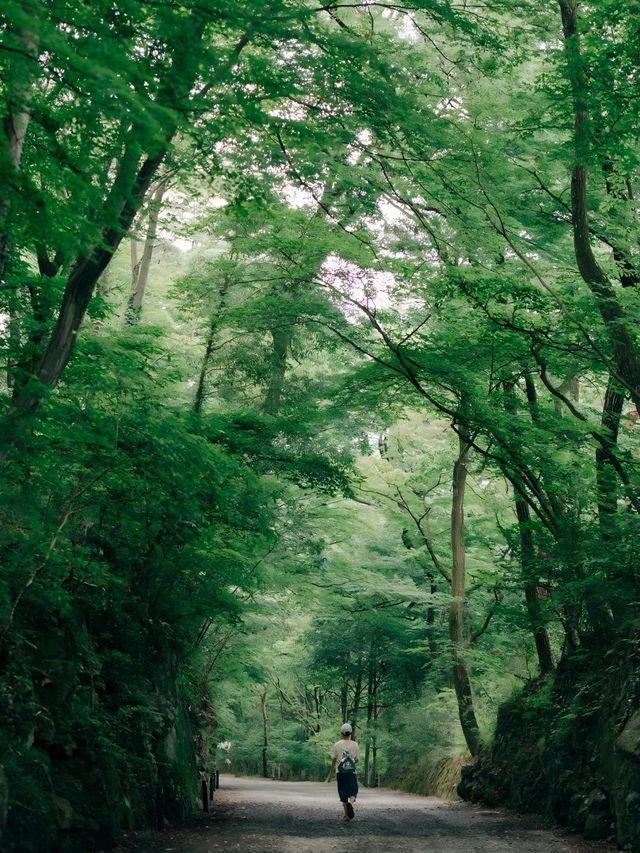 日光鬼怒川｜被綠意治癒的小眾溫泉