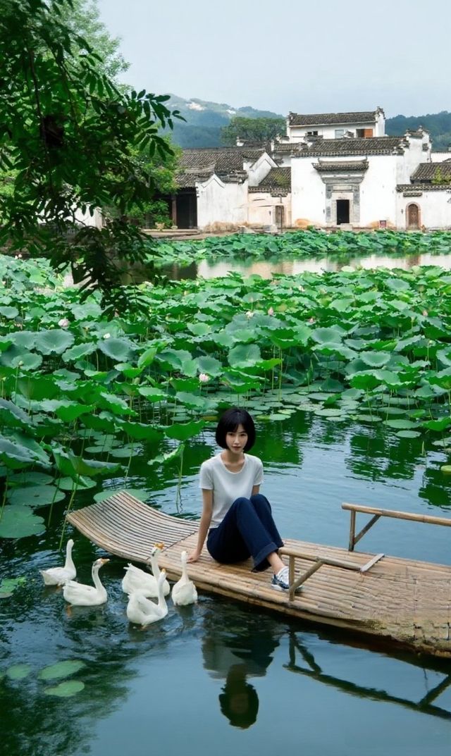 呈坎夏荷記：喺徽州八卦村裡，與一池荷花共生嘅千年時光