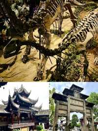 小眾旅行分享，川中地區人文薈萃