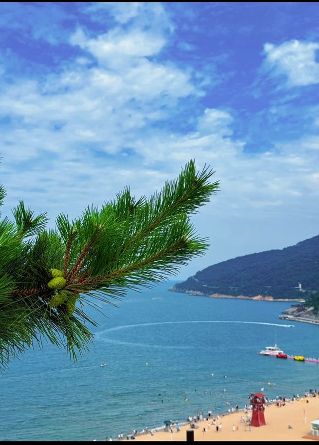 江蘇居然藏住咁正嘅海邊小城！高鐵直達仲人少景靚，