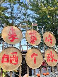 篁嶺——梯田載春秋，古村曬煙火